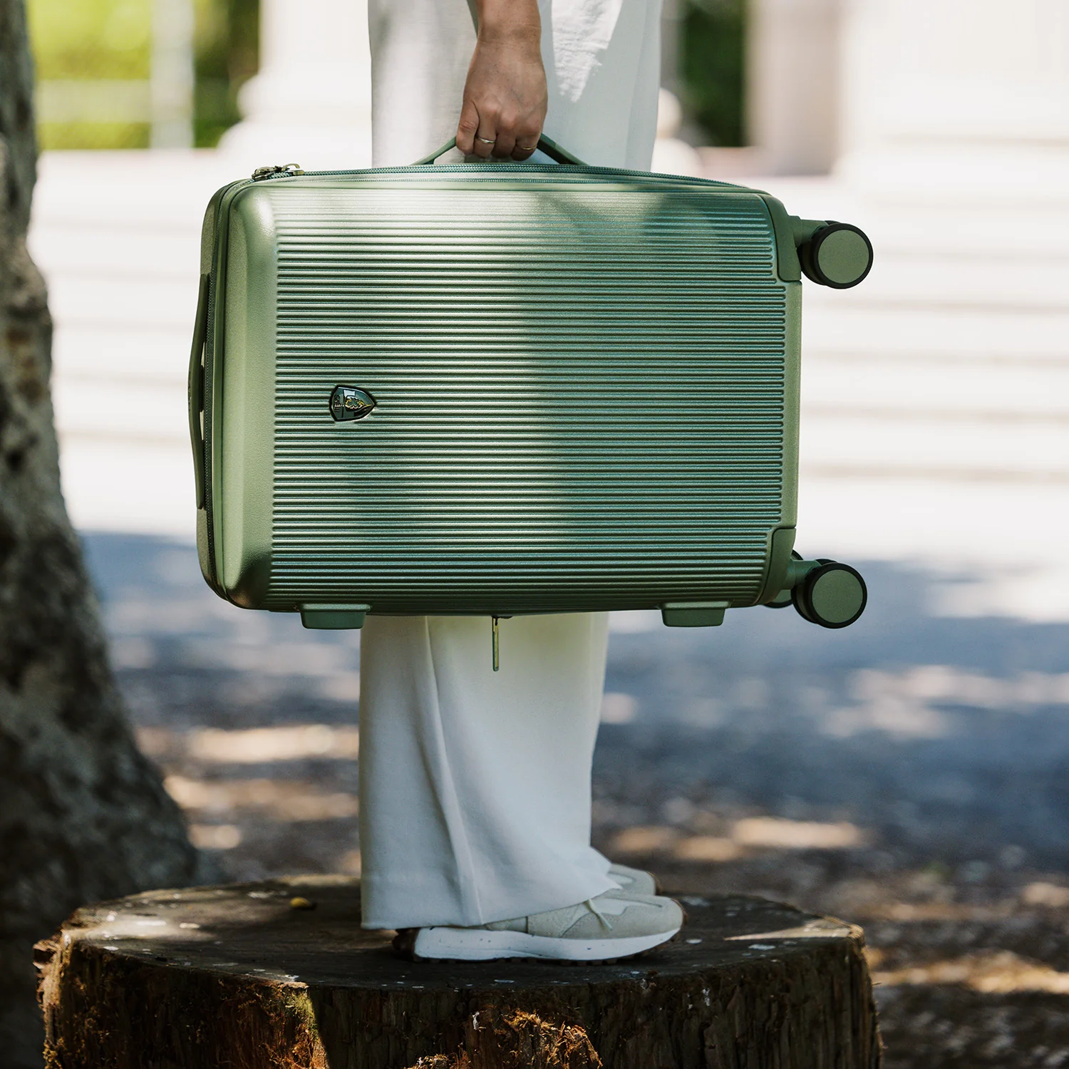Earth Tones 21.5 Inch Carry-on Luggage | Spinner Luggage - Image 44