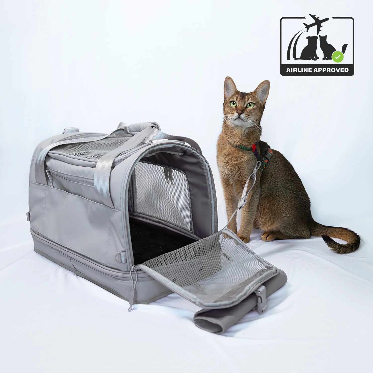 Pawsenger Pet Carrier - Atmosphere | Airline Approved - Image 2