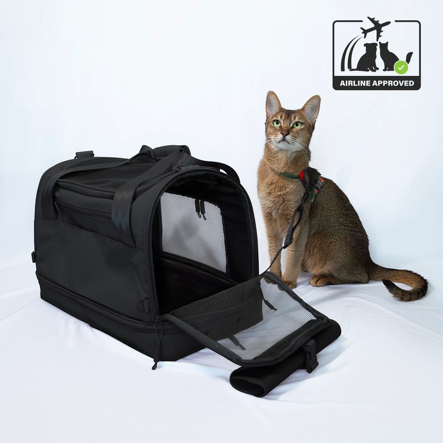 Pawsenger Pet Carrier - Black | Airline Approved - Image 2