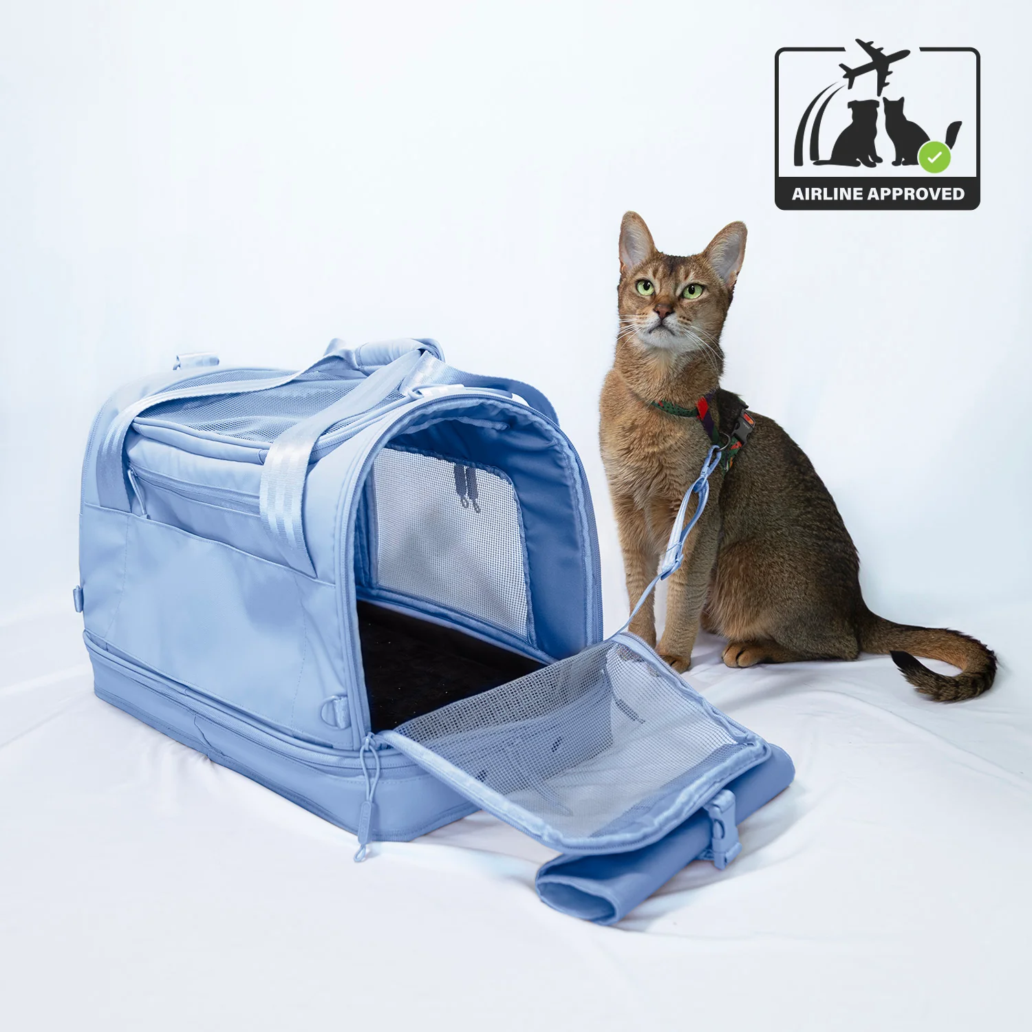 Pawsenger Pet Carrier - Blue | Airline Approved - Image 2
